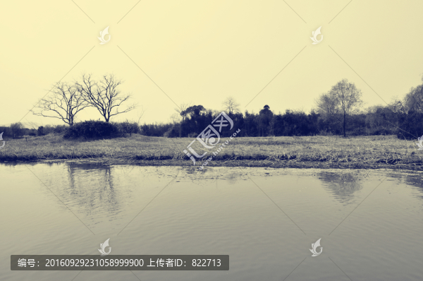 老照片西溪濕地