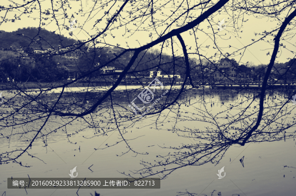 老照片杭州西湖