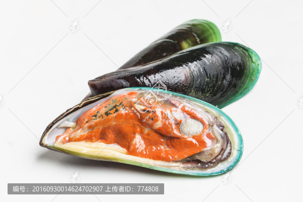 青口