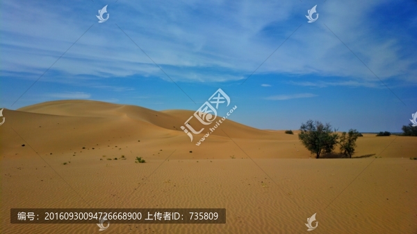 f沙漠