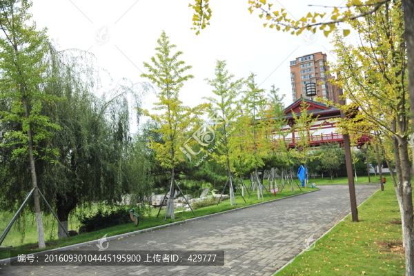 公園風(fēng)景,園林景觀