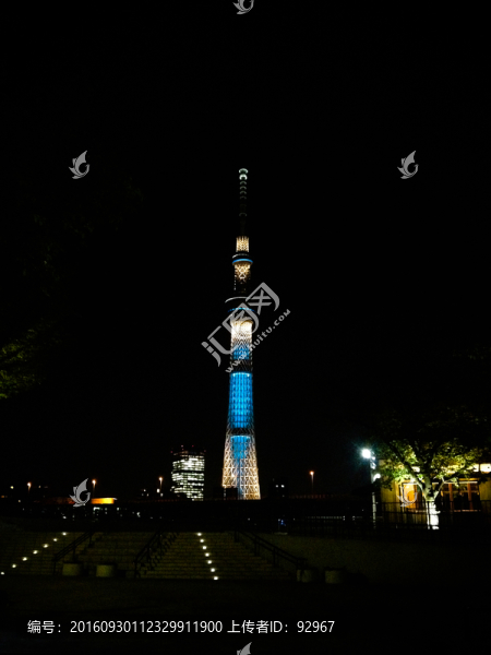 天空之樹夜景