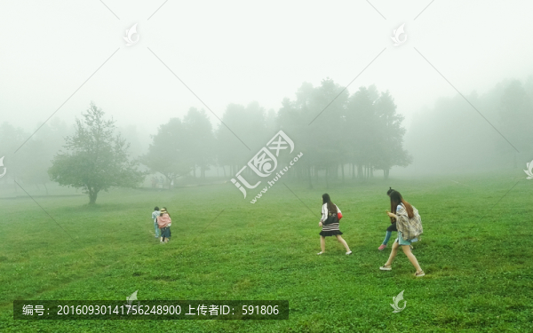 仙女山晨霧中的樹與女孩