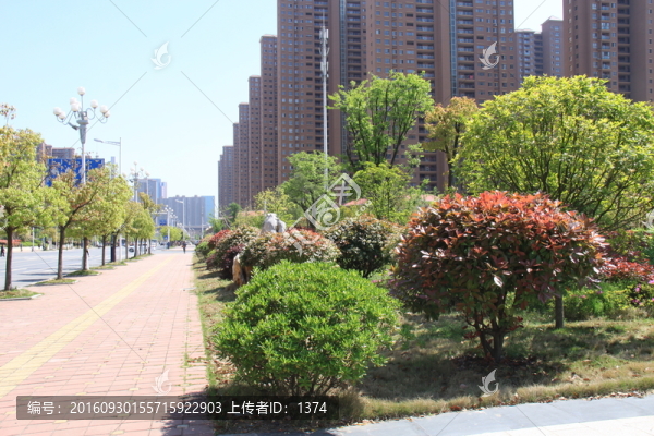 北城風(fēng)光