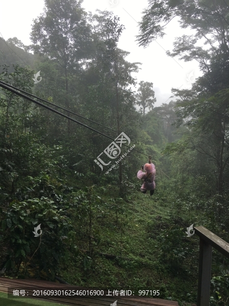 泰國叢林飛躍