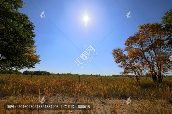 壩上草原秋景