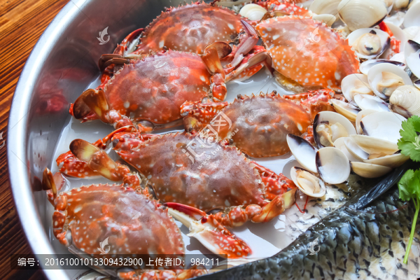 大盤魚