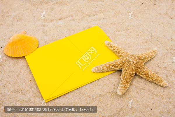 海星
