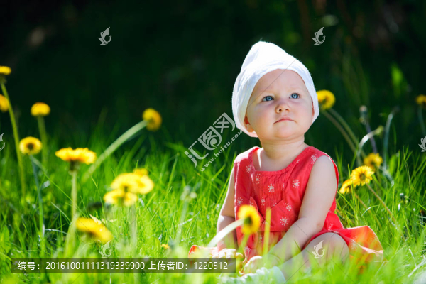夏天的女孩