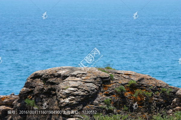 海洋景觀與石頭