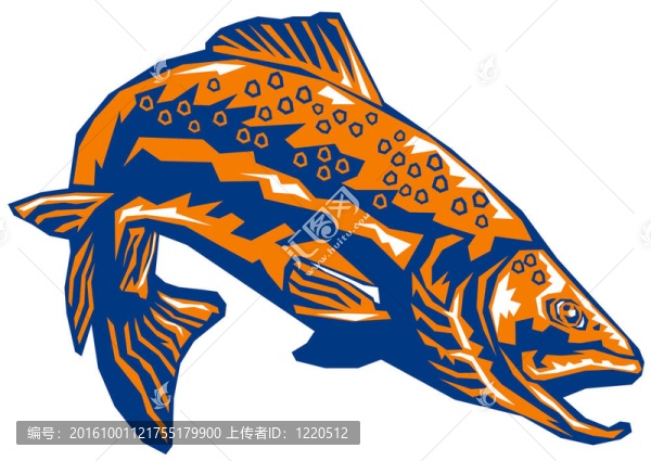 橙色的魚跳水