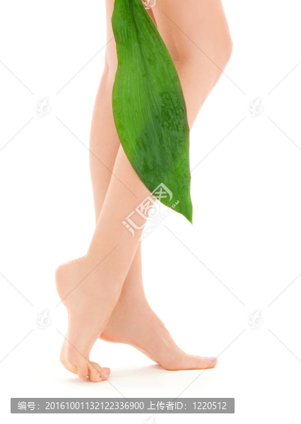 綠葉女腿