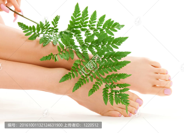 綠葉女腳