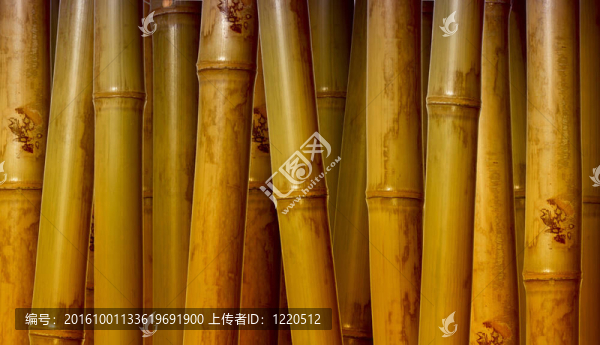 竹的背景