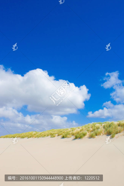 海灘