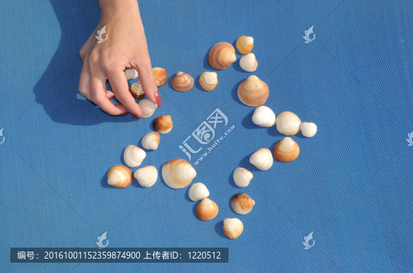 在陽(yáng)光下的藍(lán)色椅子上的貝殼2