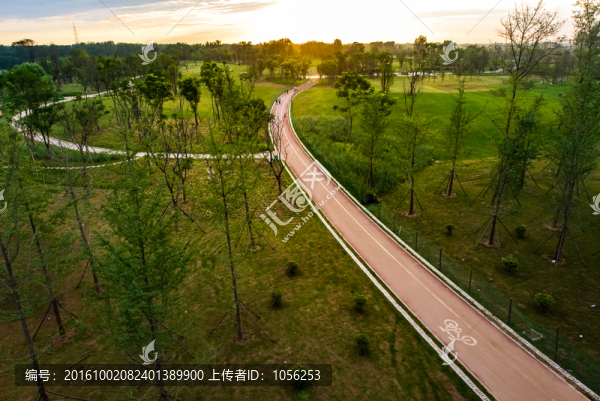 濕地公園