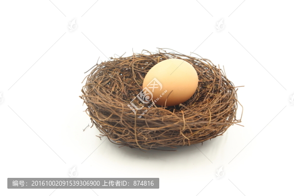 鳥(niǎo)巢,蛋