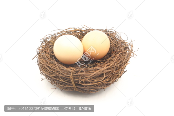 鳥巢,蛋
