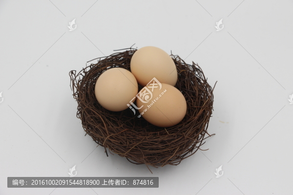 鳥巢,蛋