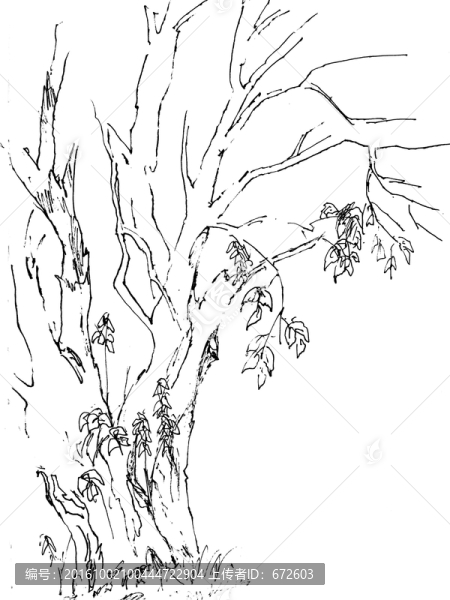 線描樹風景速寫
