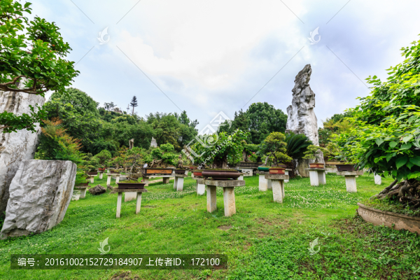黃果樹盆景園