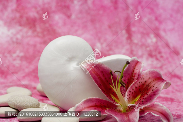 還有花的生活