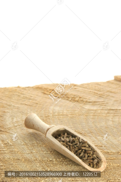 在木材板木鏟香菜種子