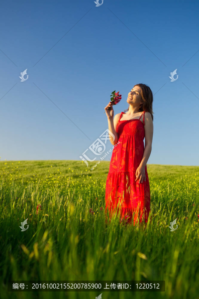 快樂女人花