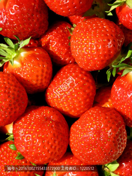 Strawberry的背景