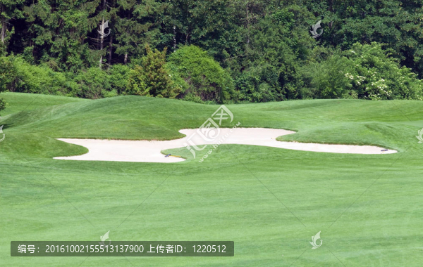 高爾夫球場