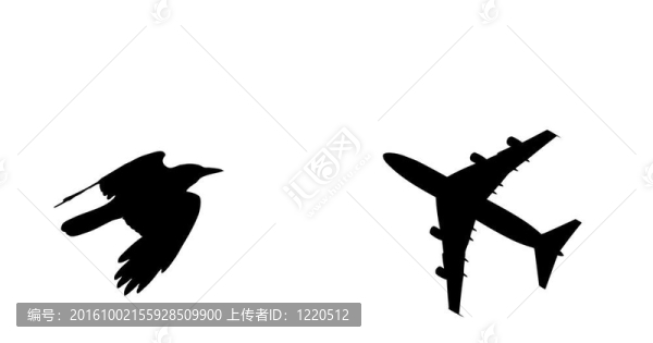 鳥和飛機(jī)飛行黑色剪影組成