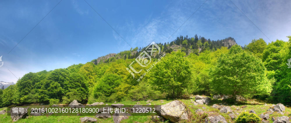 山全景景觀