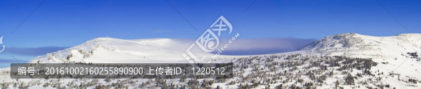 山頂全景
