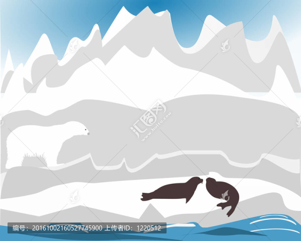 北極熊狩獵海豹
