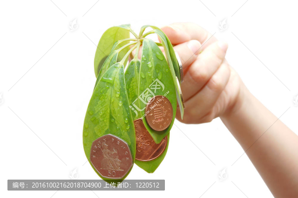 雌手拿著樹葉和硬幣