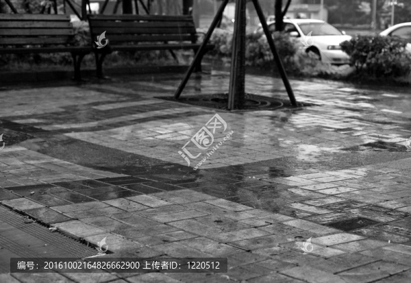 雨