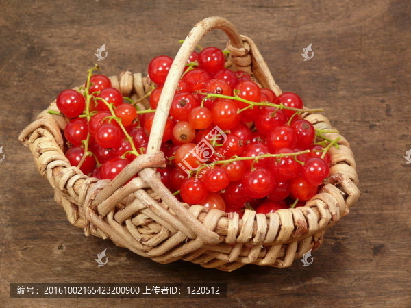 紅色水果