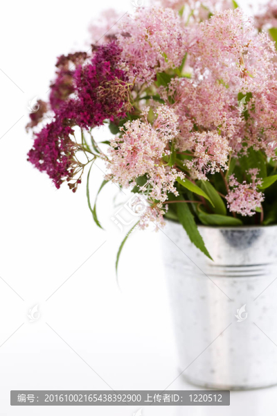 Bouqet的花