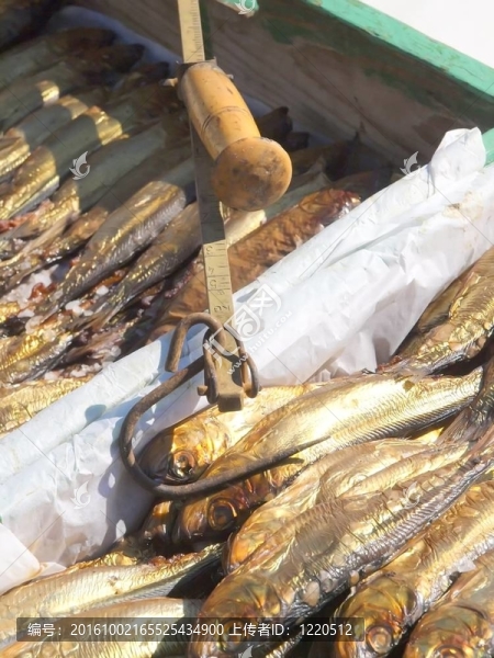 煙熏魚及規(guī)模