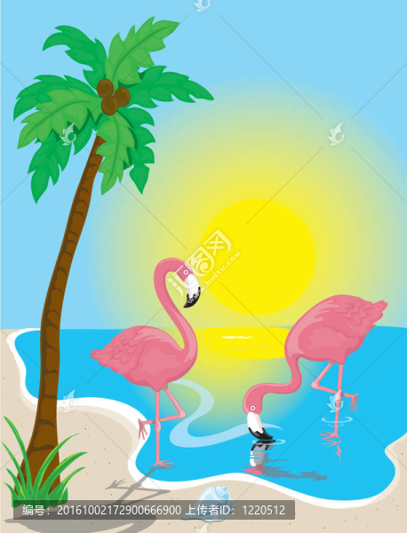 火烈鳥海灘