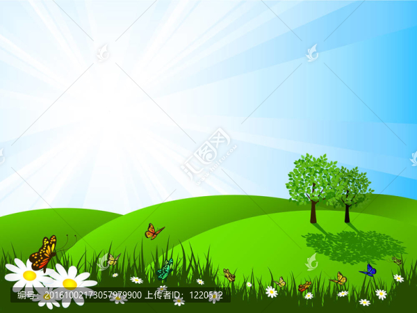 夏天的風景