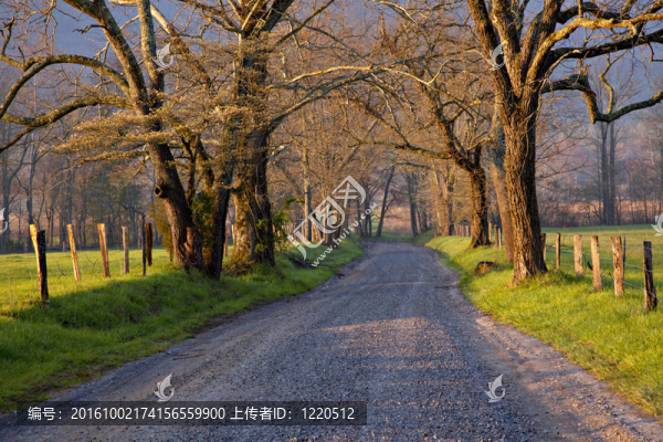 鄉(xiāng)村路的日出