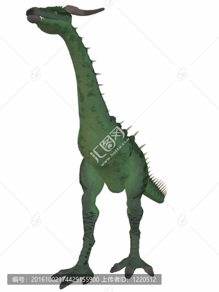 夢幻龍