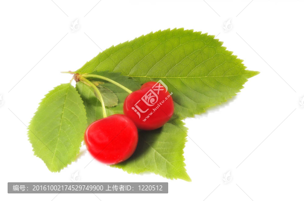 櫻桃