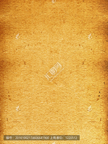 紙