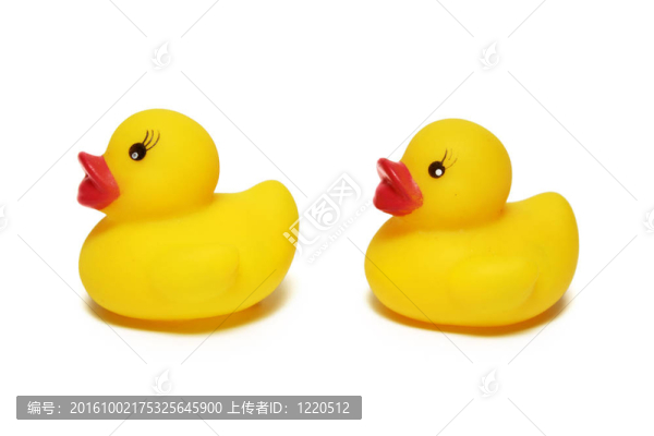 橡皮小鴨