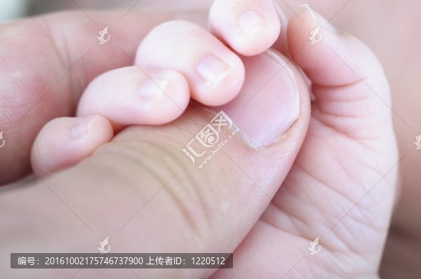 新出生的手