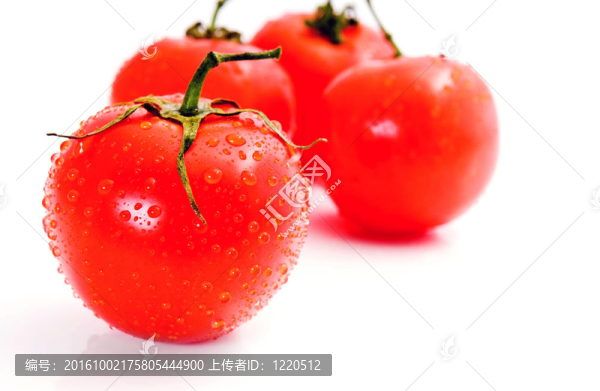 番茄