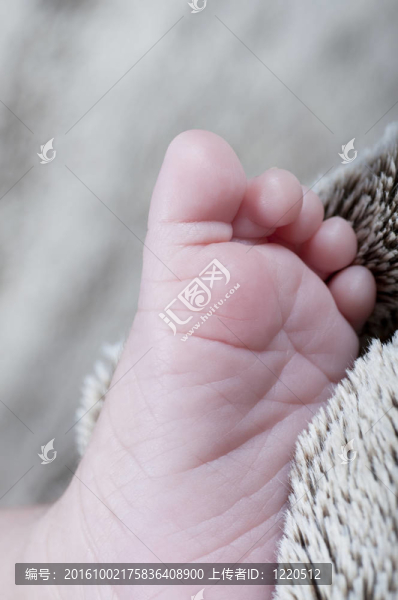 新出生的腳